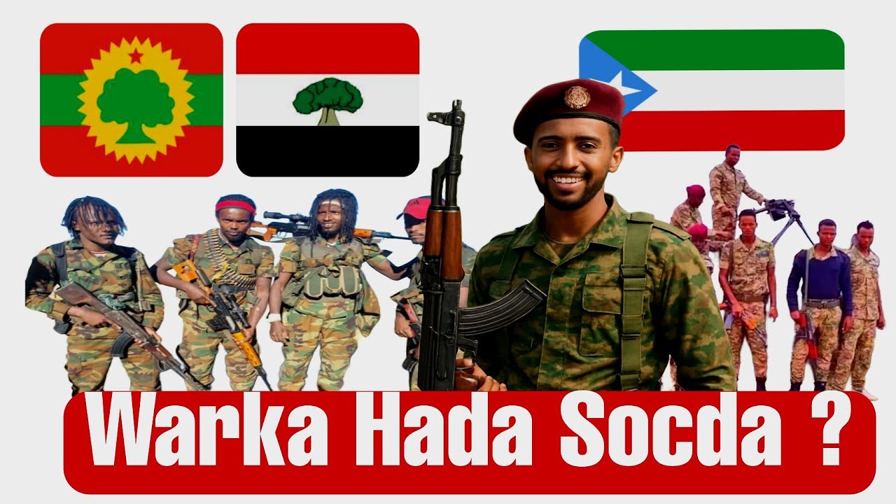 DAG_GO,AANKA  DULAANKA OO LAGU DHAWAAQAY TPLF OO SHEEGTAY XAALKA OO CIRKA ISKU SHAREERAY