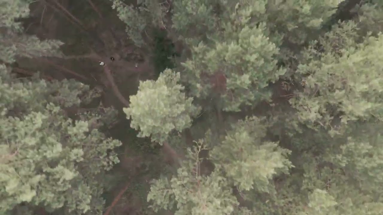 Russian forest fpv