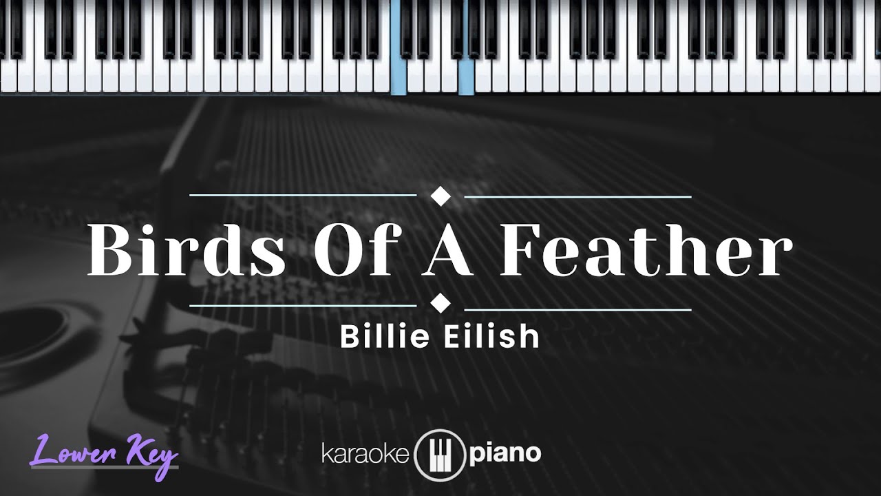 Birds Of A Feather  - Billie Eilish (KARAOKE PIANO - LOWER KEY)