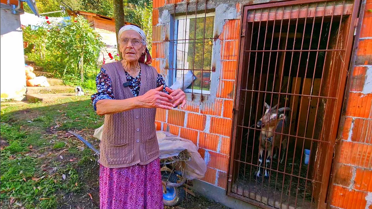 Sama u šumi živi nena FAZILA . Sa 82god : Ručno kosi cijepa drva i hvata zmije