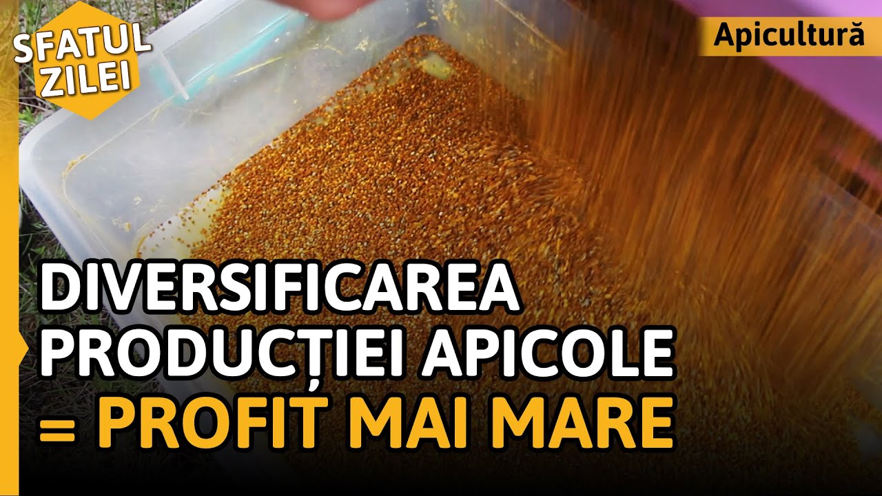 Diversificarea producției apicole = PROFIT MAI MARE [Sfatul zilei]