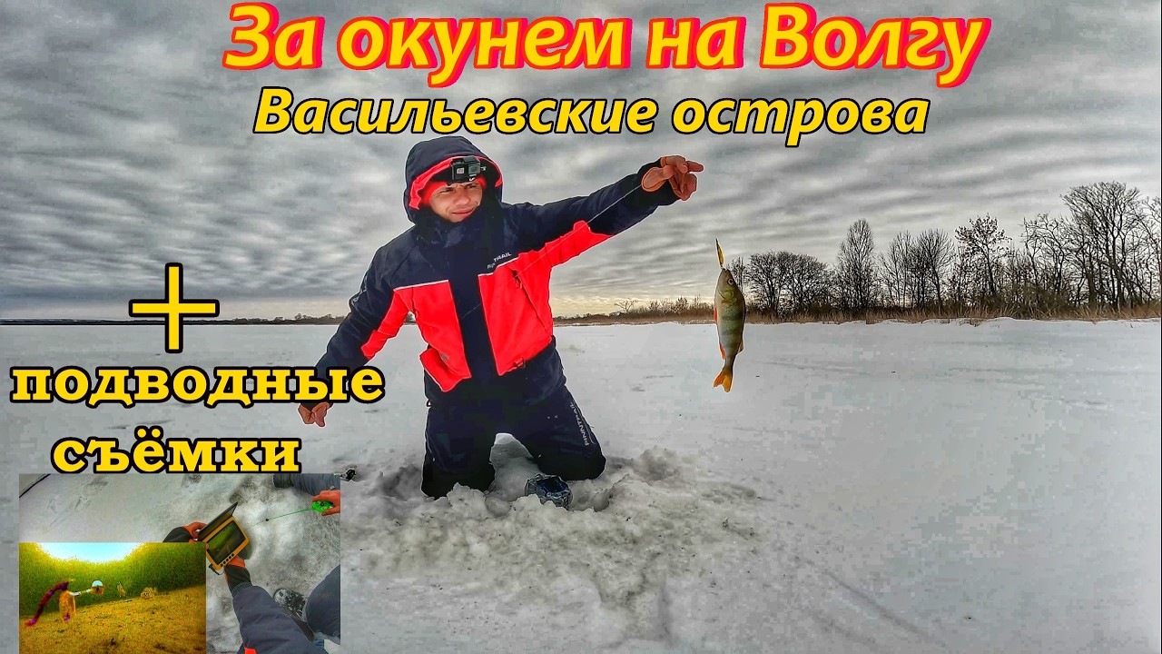 ЛОВЛЯ ОКУНЯ НА ВОЛГЕ/ЗИМНЯЯ РЫБАЛКА 2026/ОКУНЬ НА БЛЕСНУ/РЫБАЛКА В МАРТЕ/РЕКА ВОЛГА/РЫБАЛКА В САМАРЕ