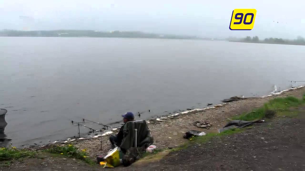 Krokodyl w Zalewie Rybnickim?