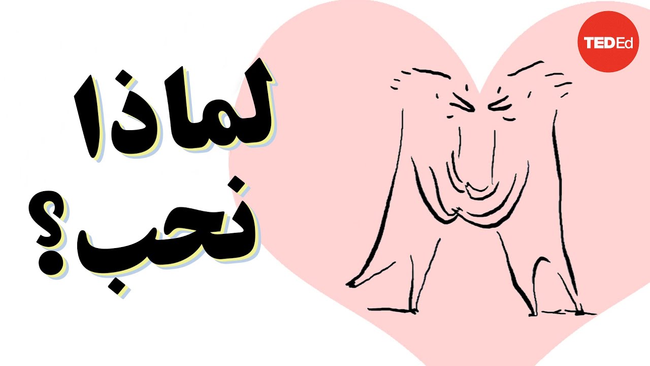 لماذا نحب؟ استفسار فلسفي - سكاي س. كليري