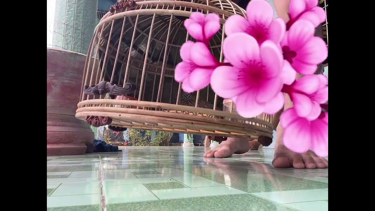 Tới công chuyện nữa cả nhà ơi