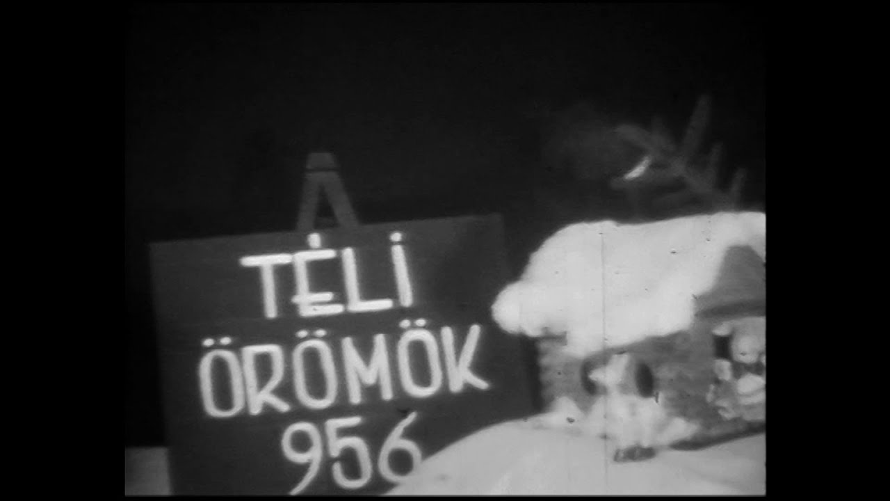 Téli örömök 1956 - Dr. Zsoldos Ferenc filmje