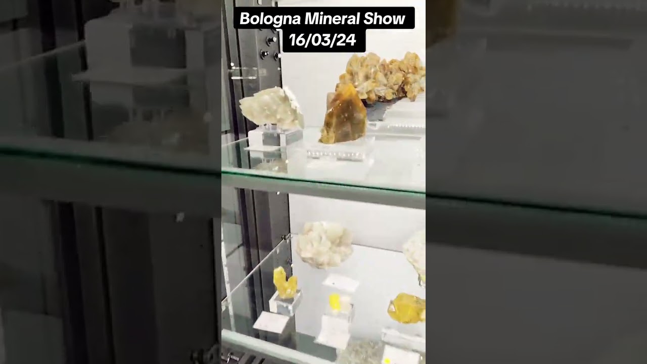 Giornata di acquisti per lo shop al Bologna Mineral Show!
