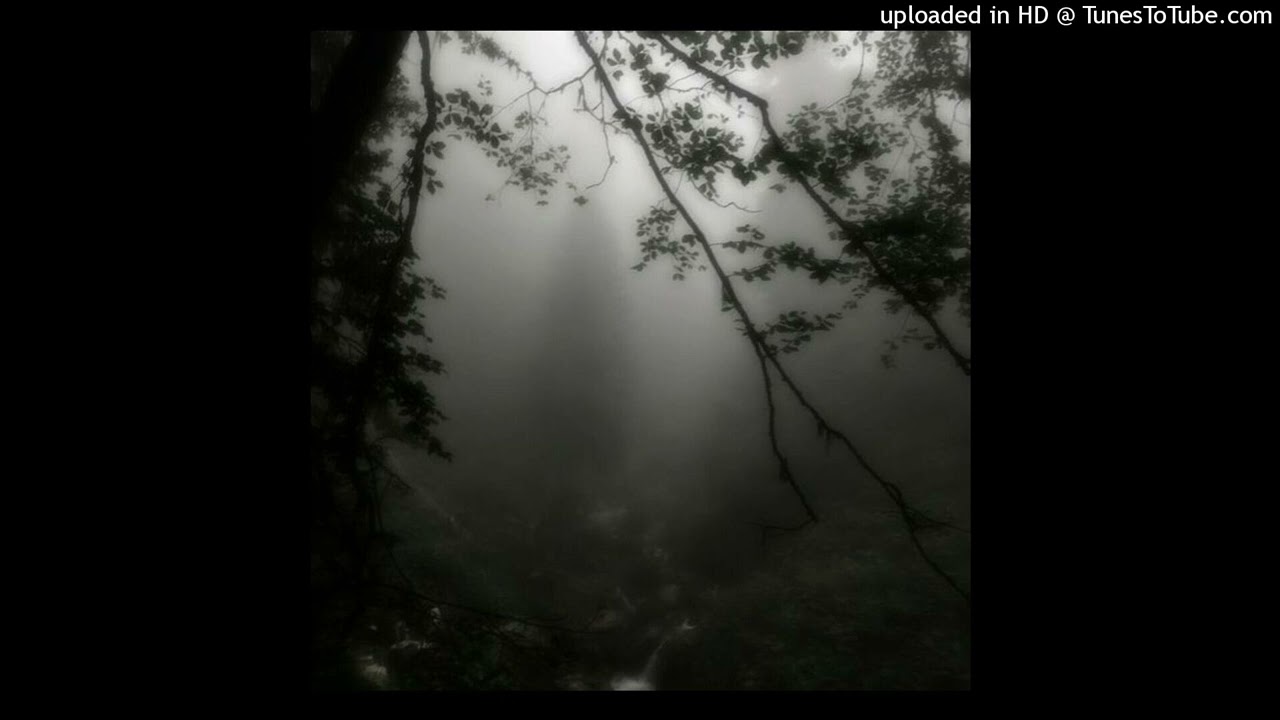(free for non profit) izaya tiji 1oneam ambient type beat (prod. vxto)