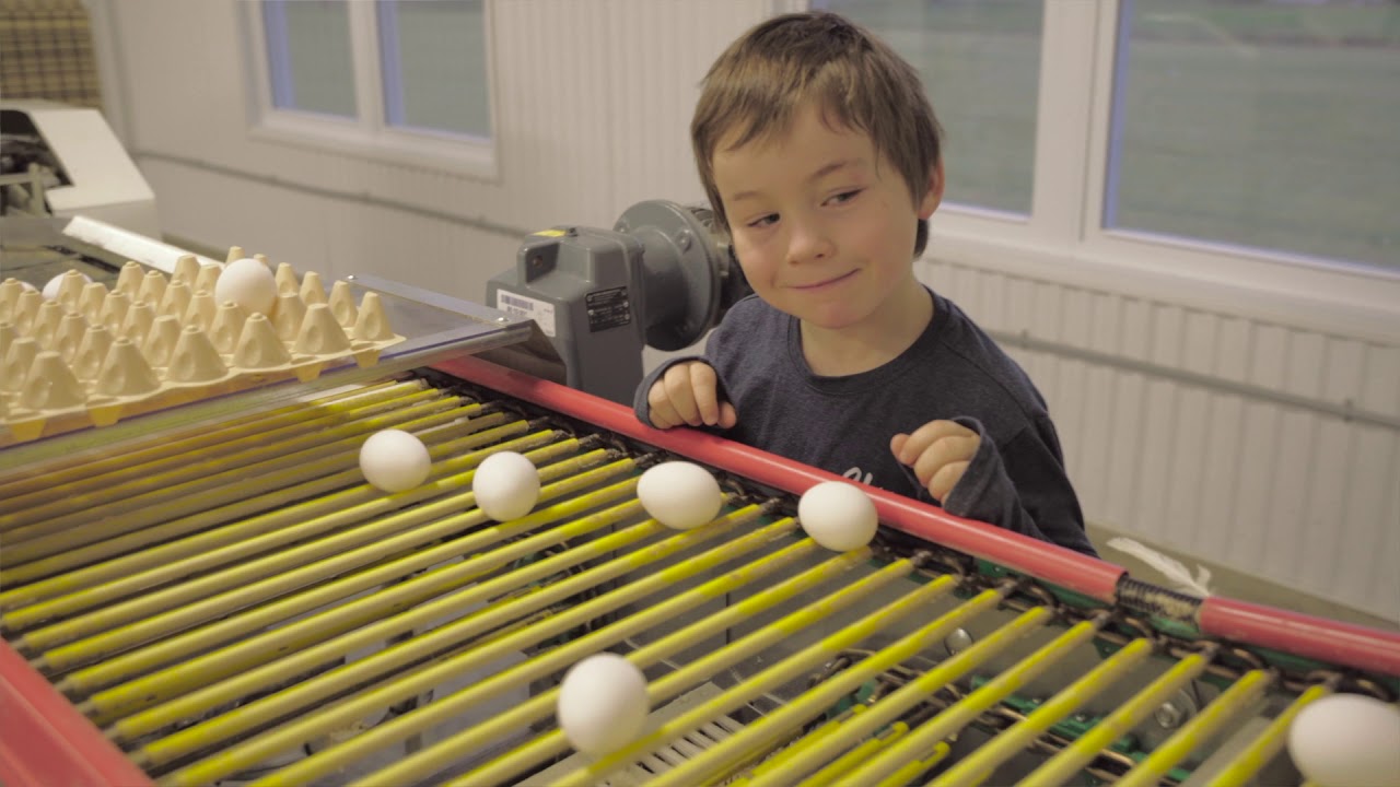 Découvrez la famille Lapierre-Dionne de la ferme Les Oeufs de Joachim.