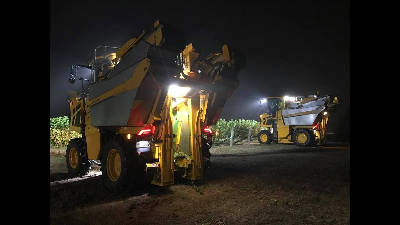 Night Harvest - Sauvignon Blanc Grape Harvesting - Marlborough New Zealand