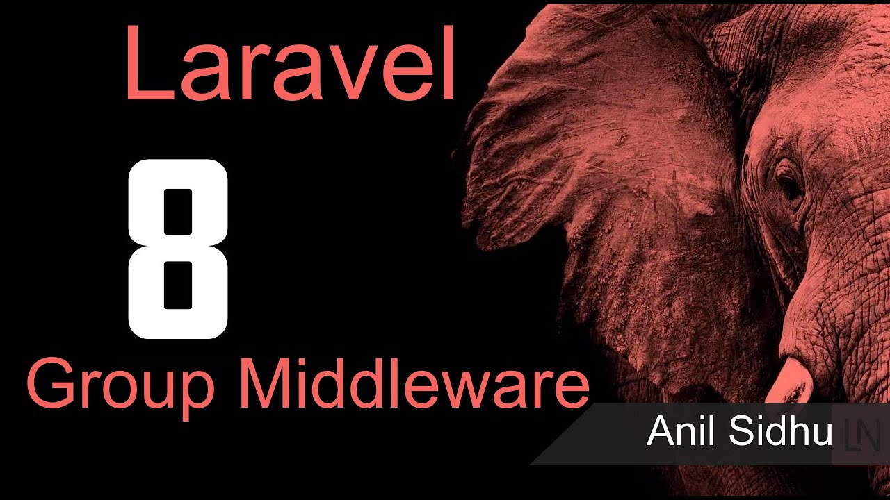 Laravel 8 tutorial - Group middleware