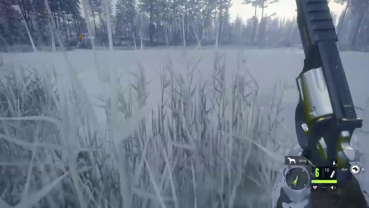 Hunter call of the wild 