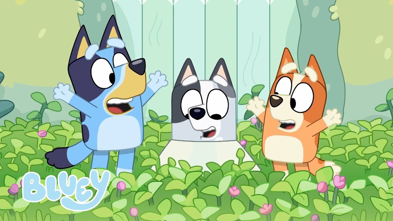 Roligt med blomsterflickorna | Bluey Officiella Svenska Kanalen