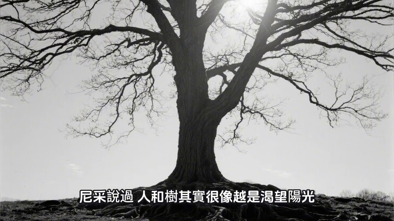 黑色生命力