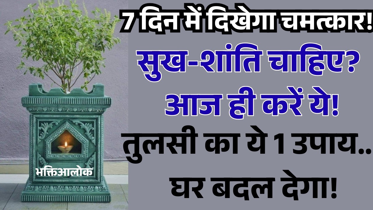 तुलसी का ये 1 उपाय… घर बदल देगा! #tulsi #upay #universe #youtube #viral