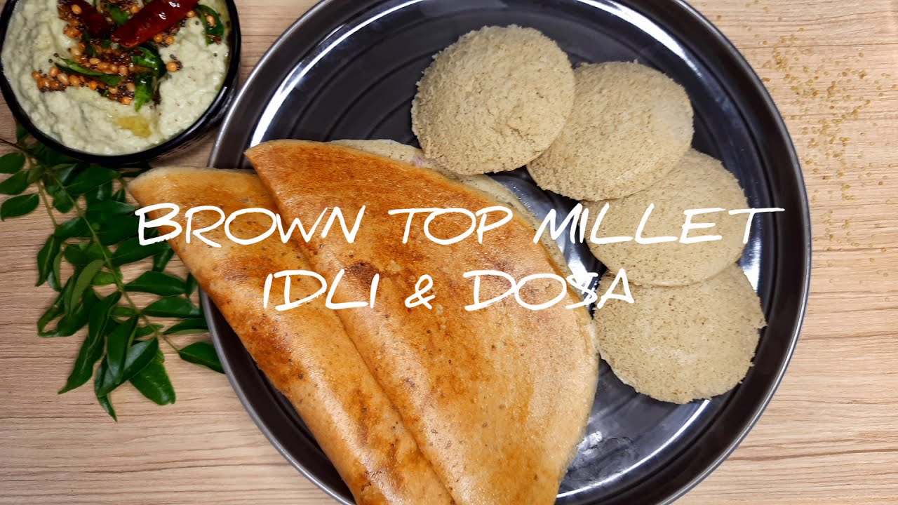 Browntop Millet Idly & Dosa / Healthy Breakfast / Dinner Recipes / Millet Recipes / Millets