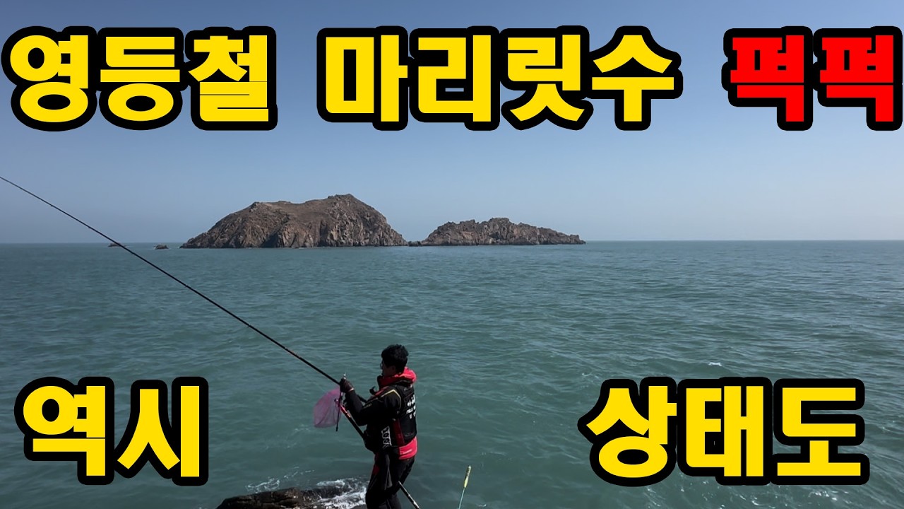 상태도 쉰물치끝 영등철 2차시즌~