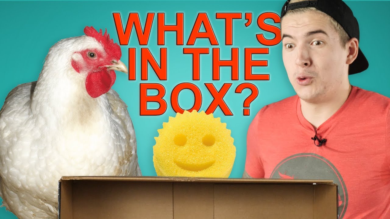 WHAT'S IN THE BOX CHALLENGE (feat. Aleks)