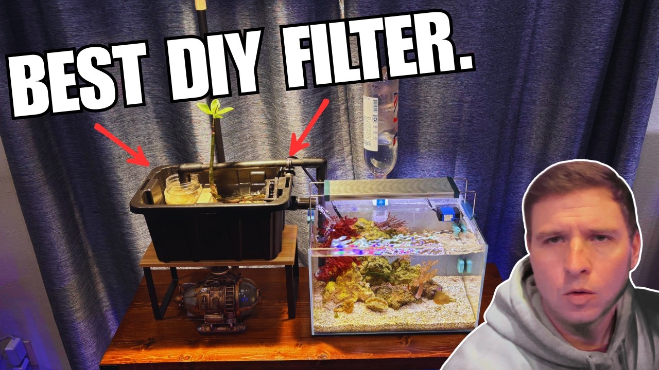 The Ultimate DIY Pico Filter (Easy & Cheap!)