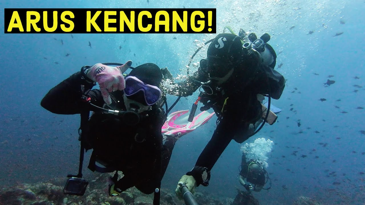 Dive Pulau Weh, Indonesia Part 4