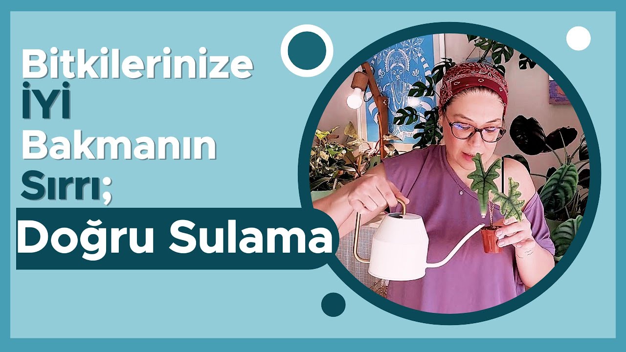 Sağlıklı Bitkiler İçin Doğru Sulama Teknikleri!