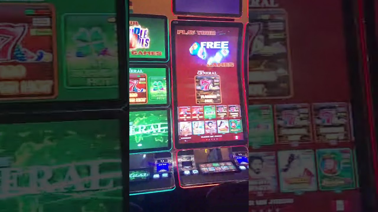 WhatsApp Video 2026 03 05 at 5 36 40 AM