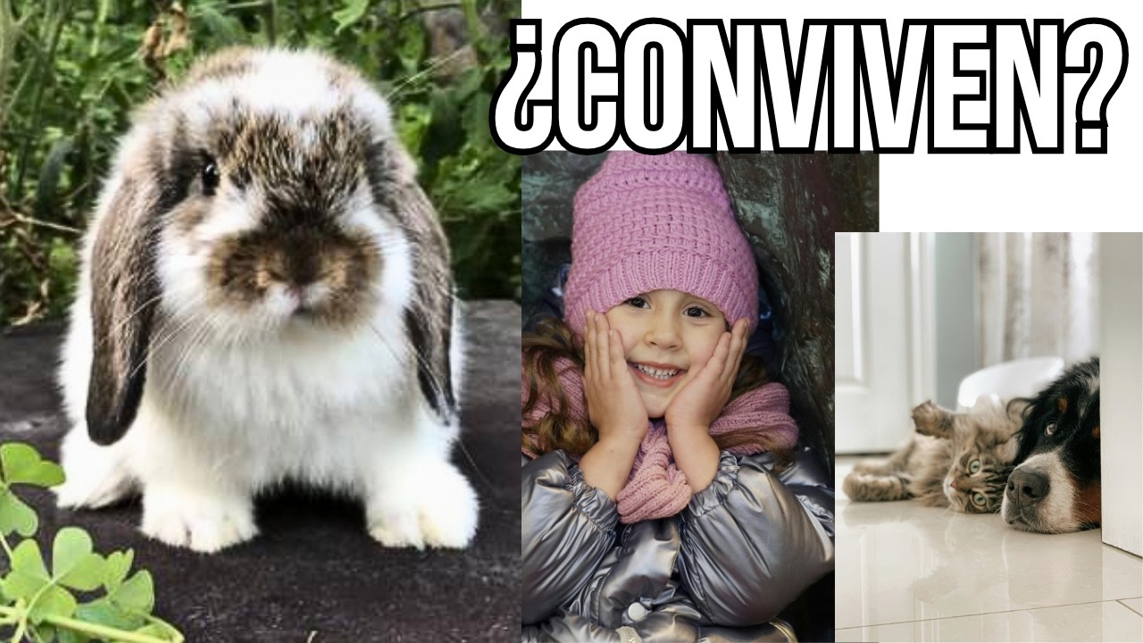 Conejos en casa: convivencia con niños, adultos y otras mascotas 🐇