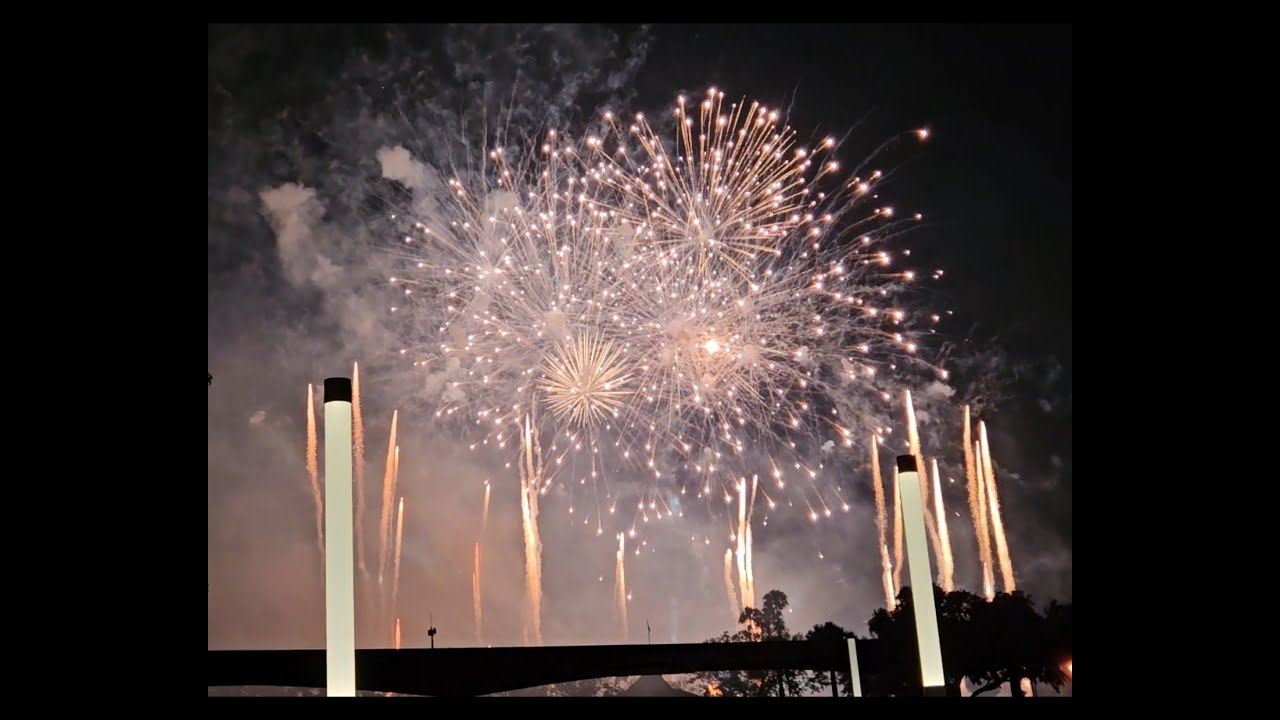 Epcot Fireworks Show | Luminous The Symphony of Us