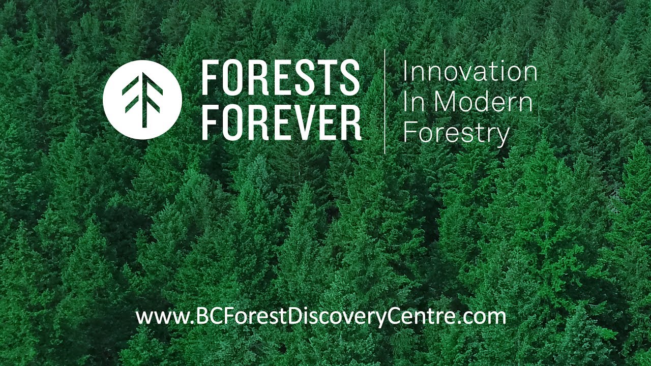 Forests Forever Exhibit Concept - BC Forest Discovery Centre