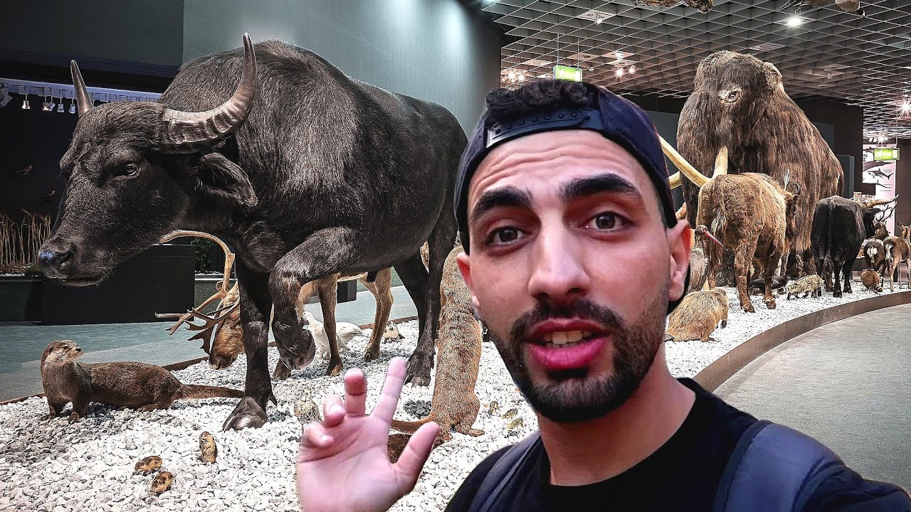 فلوق عالم الحيوانات المنقرضه😱