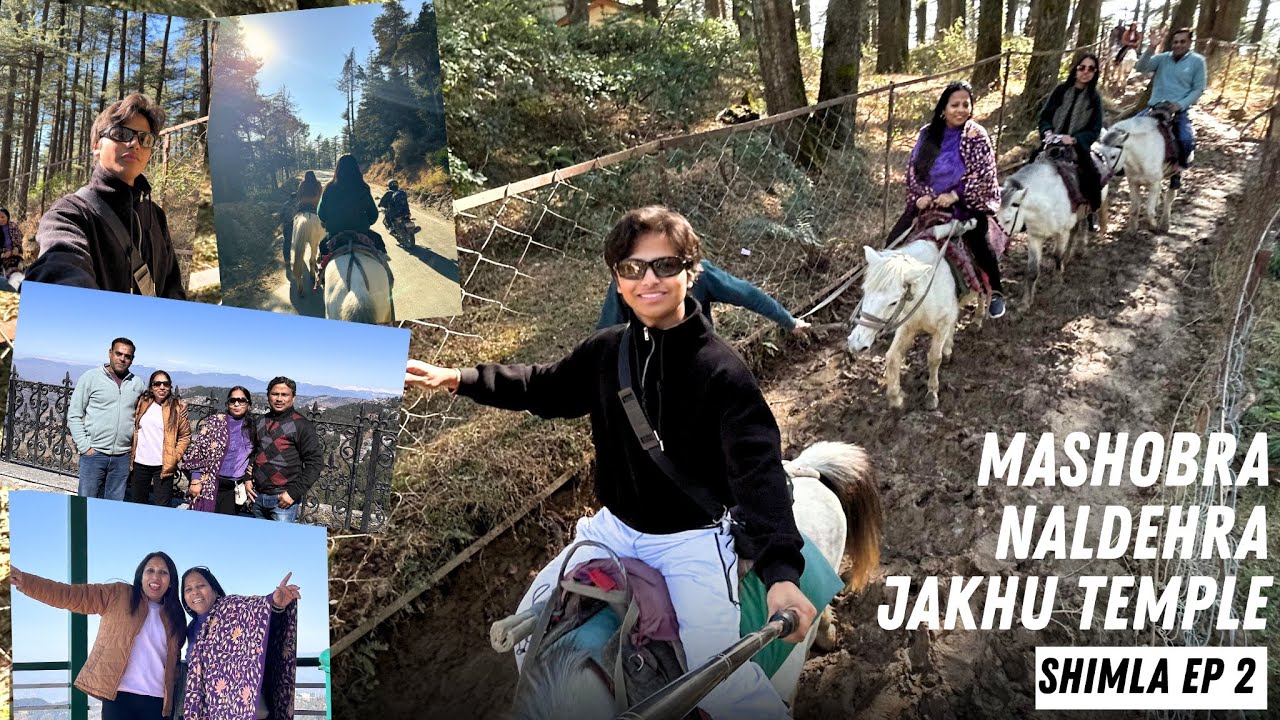What a day in Shimla! 😍 | EP 2 Shimla | Diluv Vlogs