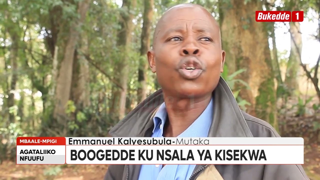 Agataliikonfuufu:  Ab’ekika ky’endiga boogedde ku nsalawo ya Kisekwa