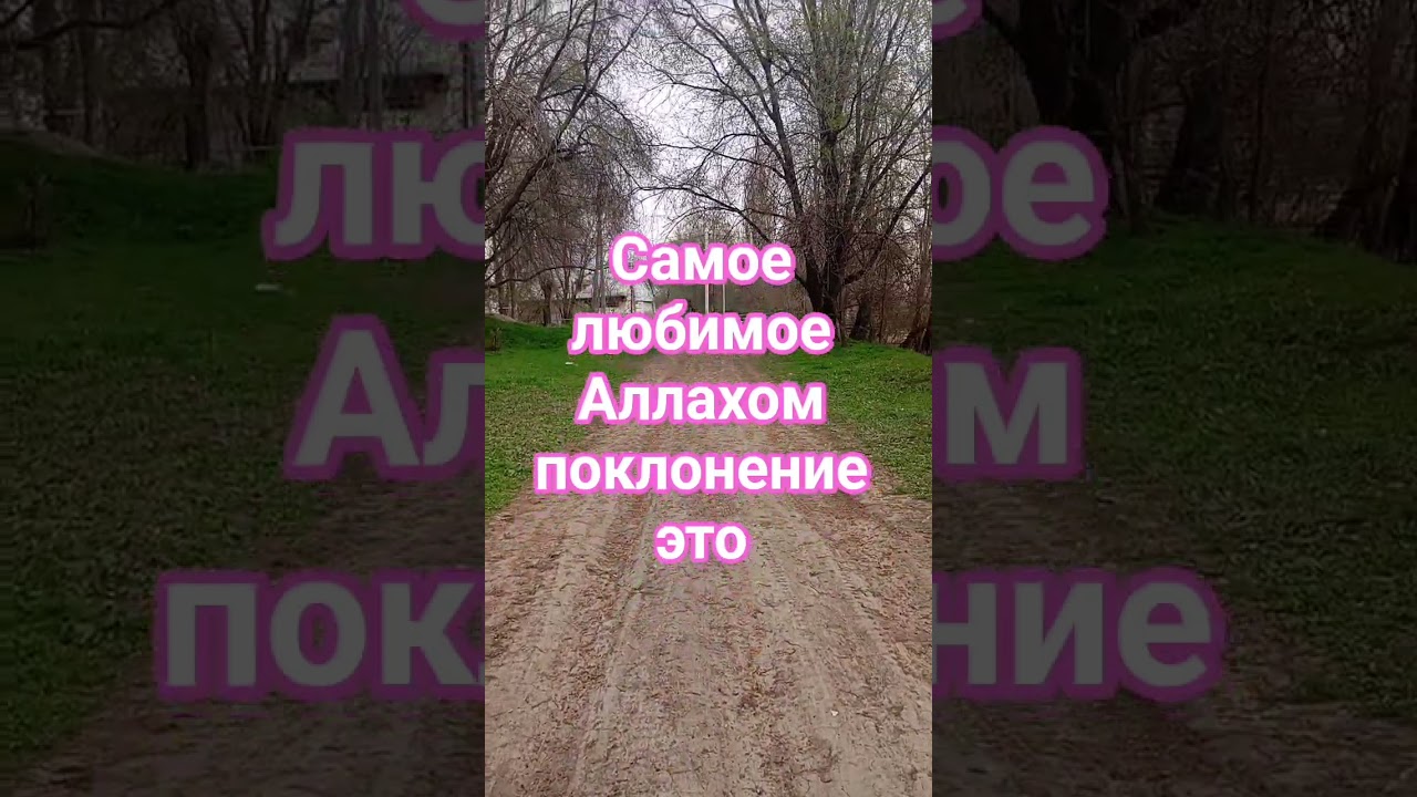 #коран #намаз#исламскиепослания #исламскаяинформация #мусульмане #аллах #аллахбудетстобой
