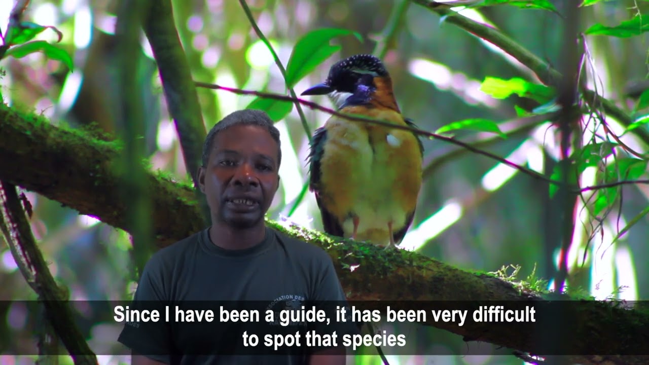 RAFIDISON Stephenson | Tour Guides | Preserving knowledge of endemic species in Madagascar