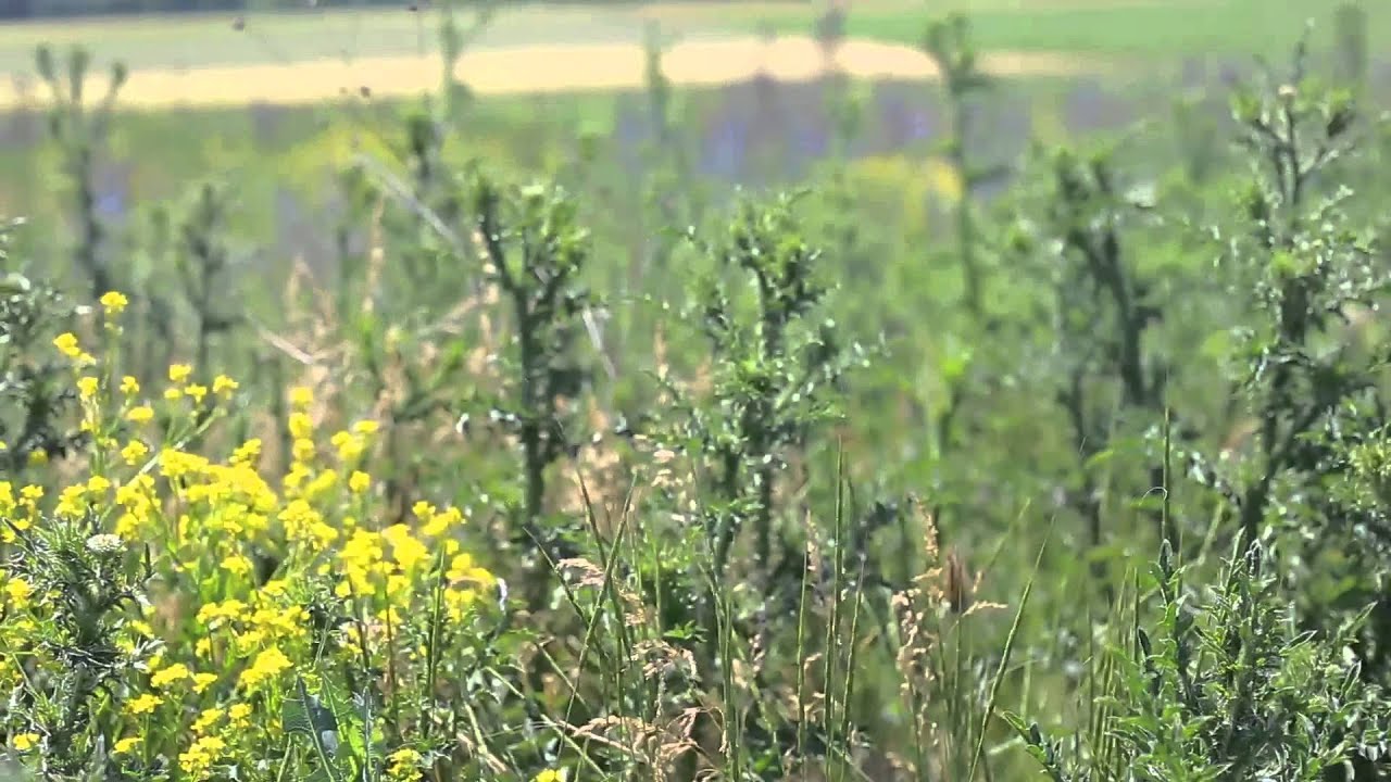 Hiking Moldova 14 06 15