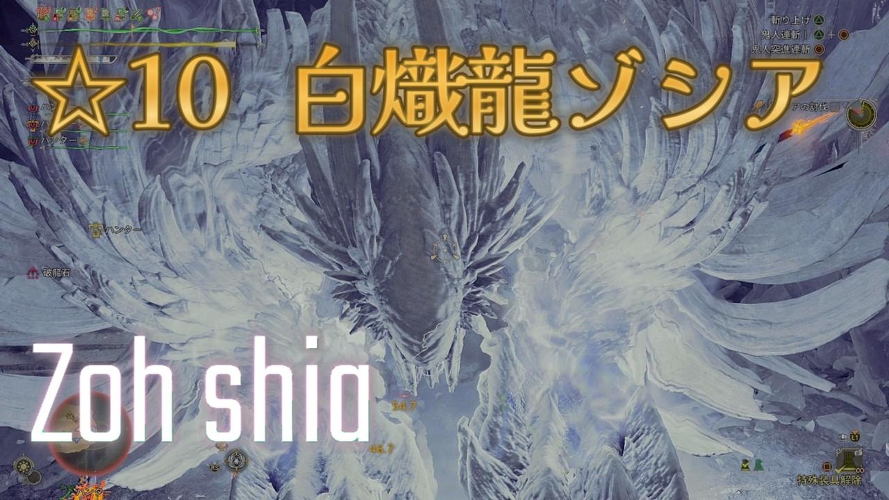 [MHWilds] 10 star Zoh Shia is EPIC [Dual Blades]