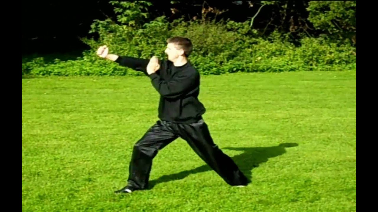 13 - Tong Long Chor Dong Kuen HD - M-Kung- Fu - Seven Star Mantis Kung Fu - M - Kung - Fu .avi