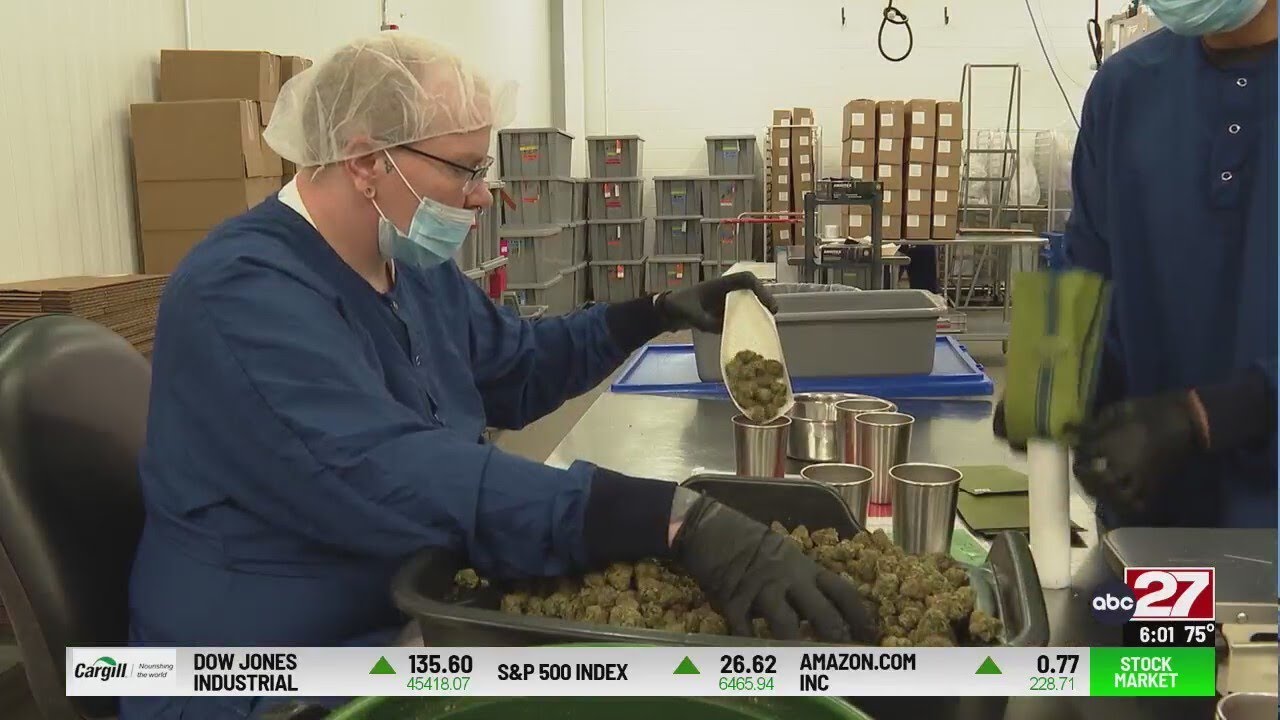 Inside look at a Pennsylvania medical marijuana facility as lawmakers debate legalization