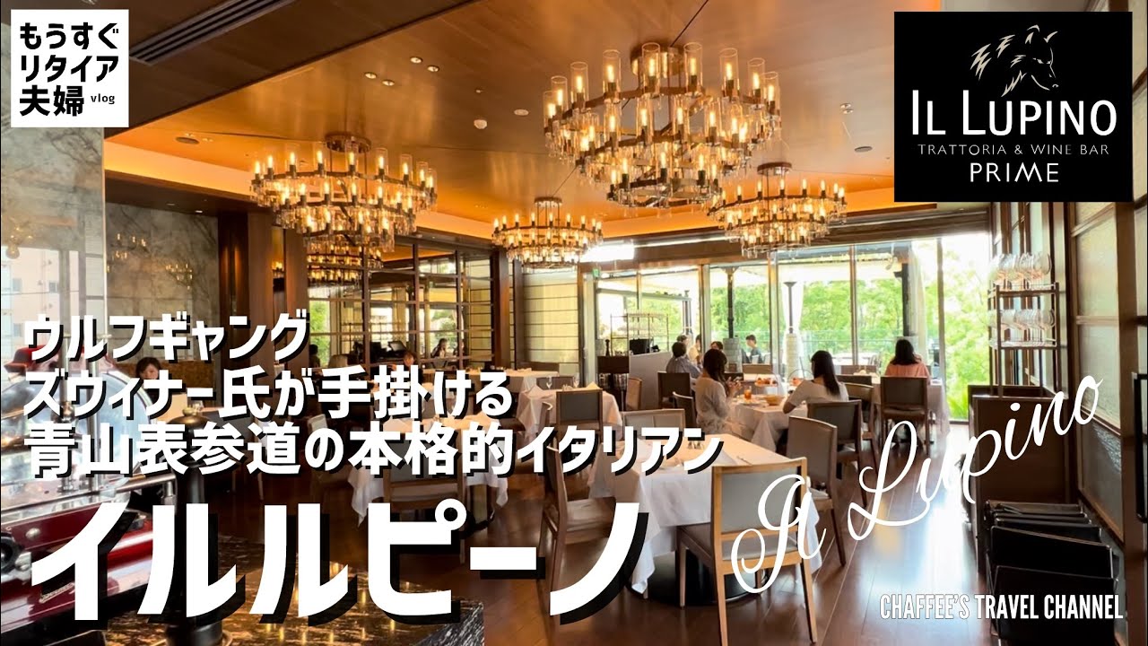 【青山表参道ランチ】イルルピーノ ウルフギャングが手掛ける本格的イタリアン 《もうすぐリタイア夫婦vlog》IL LUPINO OMOTESANDO LUNCH / CHAFFEE’S TRAVEL