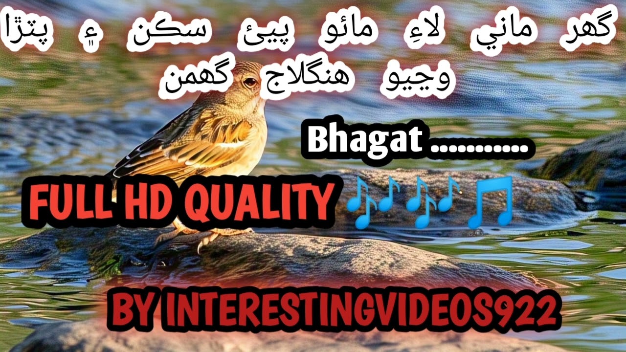 گھر ۾ ماني لاءِ ماءُ پيئ سکن ۽ پٽڙا وڃيو ھنگلاج گھمن | Bhagat Khetaram | ڀاوَ پُورن ڀجن