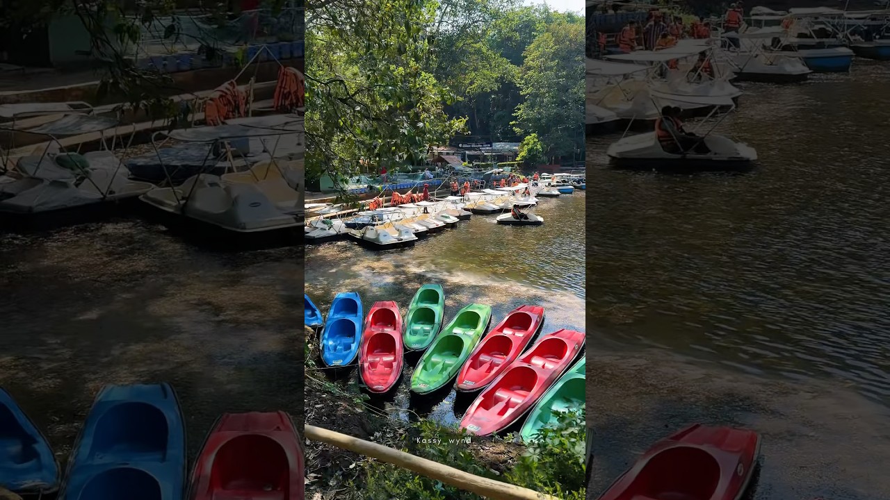 Pookode lake in Wayanad 🌿 Peaceful ambience ❤️ Water activities 🛶 You just want to relax only ☺️💞