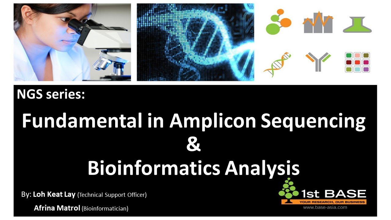 NGS Series: Fundamental in Amplicon Sequencing &Bioinformatics Analysis