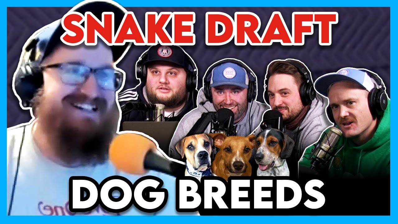 Drafting the Best Dog Breeds
