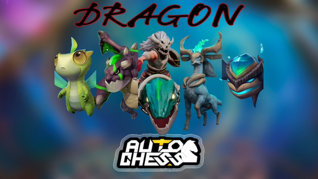 6 mage 5 dragon 5 human | auto chess | enjoy