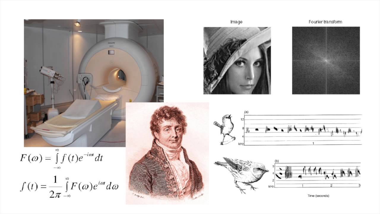 Birth of an Idea - Cedric Villani