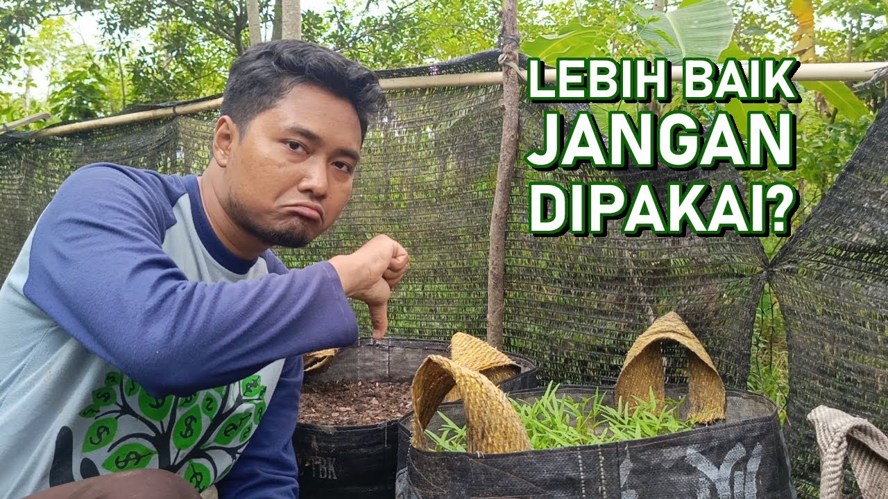 Kekurangan memakai planter bag 100 liter untuk menanam