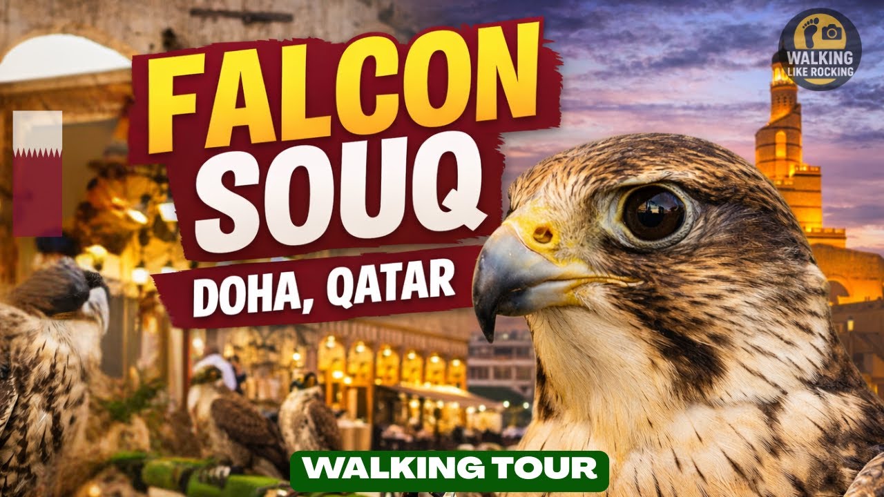 Falcon Souq Doha Qatar &ndash; A Walking Tour of the Traditional Market #falconsouq #falcon #qatar