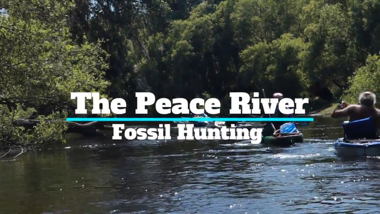 Fossil Hunting with the Kayak Junkies - Peace River - Florida
