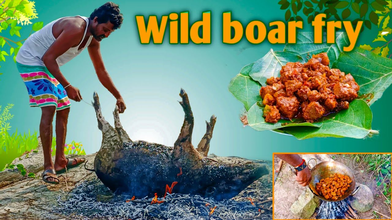 wild boar pork fry||pork fry in Village||pork fry in forest||traditional pork fry||wild boar fry||