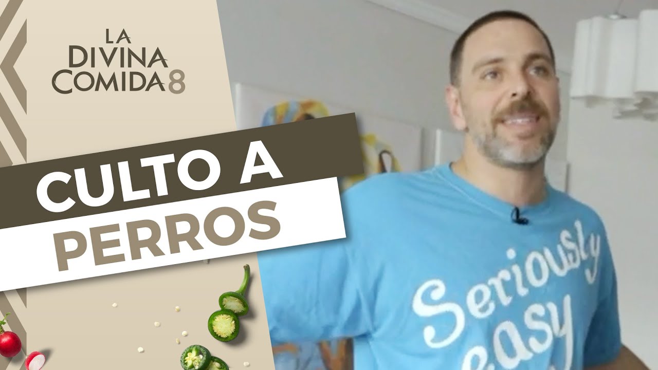 ¡CON 5 PERROS! Así es la casa de José Antonio Neme - La Divina Comida